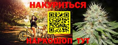 гидра Старая Купавна