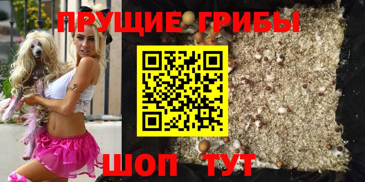 Малоярославец  Псилоцибиновые грибы GOLDEN TEACHER  Вход с VPN 