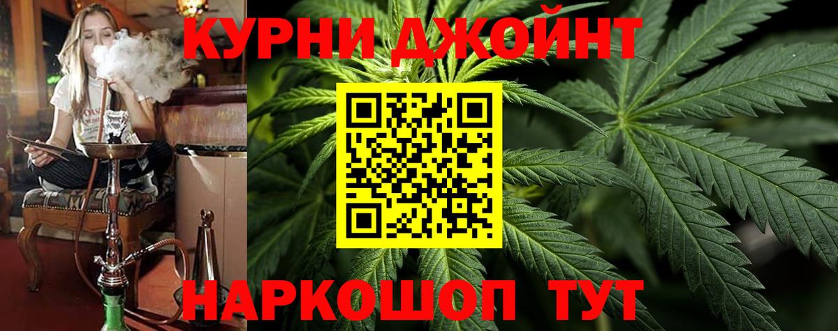 Конопля OG Kush Малоярославец